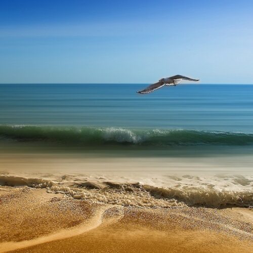Peace Within with Gentle Ocean Sounds for Deep Relaxation