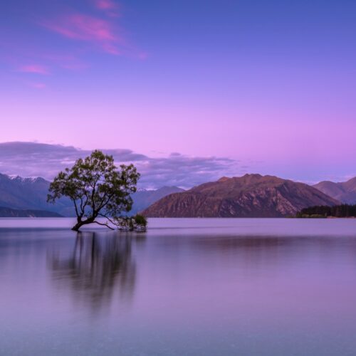Niterain: Relaxation Music for Healing and Stress Relief