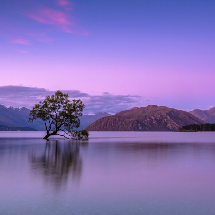 Niterain: Relaxation Music for Healing and Stress Relief