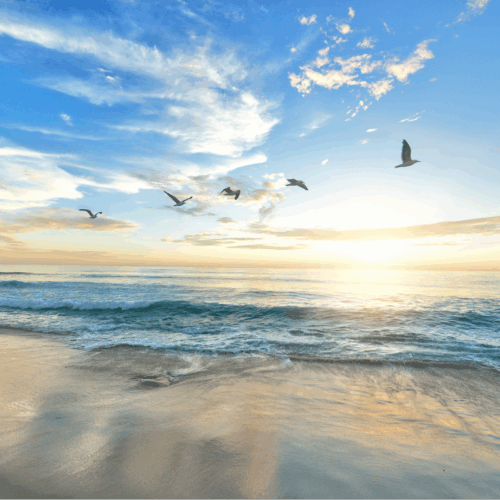 Serenity Now Album: Relaxation Music for Stress Relief